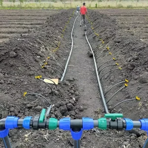 10-hectare Drip Irrigation Pipe Is Used for the Irrigation System to Prevent Clogging, Aging and Ultraviolet Rays