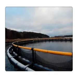 15m Diameter Floating HDPE Circular Fish Cage for Sea Bass Farming