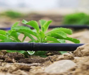 16mm Flexible PE Agriculture Drip Hose for Vegetables Drip Watering Irrigation System Drip Pipe Tubes