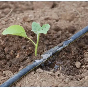 16mm Pe Drip Pipe Irrigation Pipe 3 4 Inch Polyethylene Drip Pipe