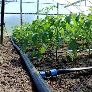 25mm HDPE Pipe High Pressure Water Supply Plastic PE HDPE Roll Drip Irrigation Pipe for Agricultural Projects