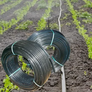 Agricultural 16Mm Inner Cylindrical Dripper Plastic Hose Drip Tubing PE Pipe for Drip Irrigation System