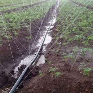 Agricultural Micro-spray Belt Drip & Sprinkler Irrigation System 1 Inch Main Pipe Hose Model