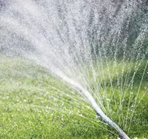 Agricultural PE Plastic Micro Spray Rain Hose Layflat Rain Pipe Watering Rain Spray Tube