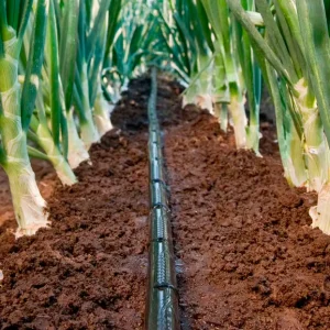 Agriculture 16mm PE Drip Irrigation Pipe Drip Line for Farm and Garden