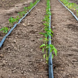 China Manufacturer Agricultural Farm Drip Irrigation System 1 Hectare Drip Irrigation Belt Drip Tape