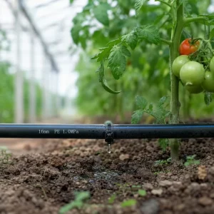 Custom Length Farm Irrigation PE Pipe Anti Clogging Drip Line for Crop Fields