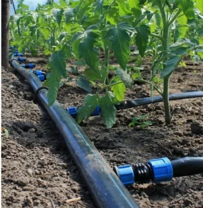 Drip Irrigation System 1 Hectare Irrigated 16mm 2L/H 3L/H Agriculture for Farm Agricultural Garden Drip Tape