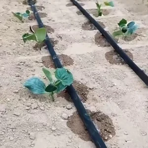 Drip Irrigation System Plastic 16mm Hose Emitter and Valve Fittings Flat Drip Tape for Agriculture Farm Potato Chili Peppers