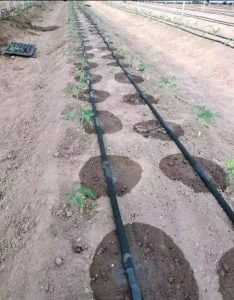 Drip Irrigation Tape System China Factory’s 1 Hectare Model Plastic Farm Drip Hose Irrigation System for
