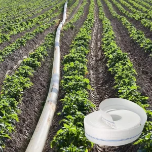 Factory Directly Supply High Pressure Durable 2 Inch 3 Inch 4 Inch PE Canvas Lay Flat Water Hose for Agriculture Irrigation