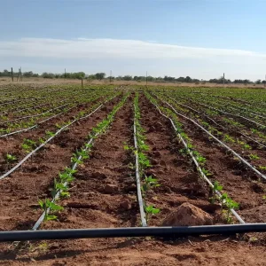 Farm Drip Line Water Hose Pipe Drip Irrigation System 1 Acre Kit 15cm Drip Tape 16mm 10cm Distance