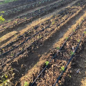 Farmland Drip Irrigation System for an Acre for Pepper Pe Layflat Pipe Black Drip Irrigation Hose
