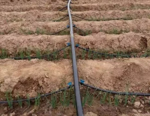 Free Design Flat Emitter Dripper Irrigation System 1 Hectare Agriculture Farm Irrigation 16mm Drip Tape Yushen IFDIT Black PE