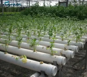 Greenhouse System UPVC Pipe PN10 PN16 Agricultural Irrigation 110mm PVC Pipe Full Sizes 20mm-630mm PVC Water Pipe