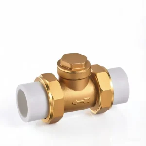 Heavy Duty Ppr Brass Check Valve Hpb57 3 Non Return Valve For Hot Cold Water Supply Hot Melt Heat Fusion Connection Fitting