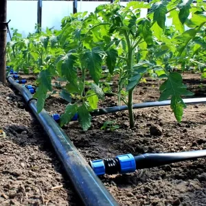 High Pressure PE Plastic Pipe No Smell 560mm Diameter HDPE Water Supply Pipe for Agricultural Irrigation