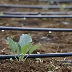 High Quality PE HDPE Drip Irrigation System Pipe Modern Automatic Watering Hard Tube for Greenhouse Orchard Fruit Trees