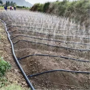 LASER PRINTED MULTI HOLE MICRO SPRAYING HOSE