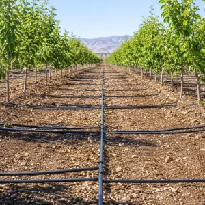 Low Pressure Greenhouse Drip Irrigation Lateral Pipe High Performance PE Tube