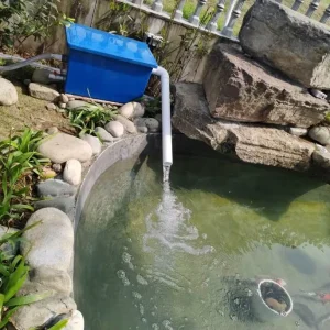 Manufacturers Recruit Agents Fish Pond Filter System All in One Pond Pump Filter UV Aqua Pond Filter