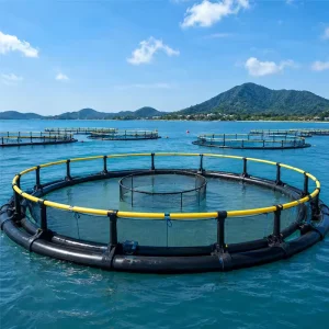 New Raw Material HDPE Pipe Deep Water Marine Culture Fishing Round Cage for Fish Breeding Aquaculture Farming Pipe