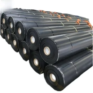 Non Toxic HDPE Waterproof Membrane Eco Safe Liner For City Public Greening Water System