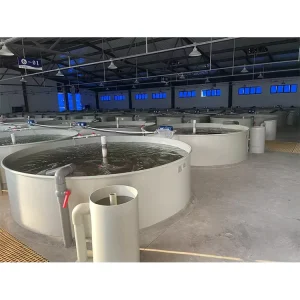 PP Plastic Fish Tank for Fish Farm Factory Price Large PP Plastic Fish Pond Tank