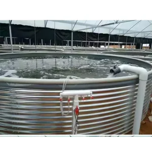 Plastic Fish Farm Pond Root Barrier Artificial Lake Dam HDPE Geomembrane Polythene Sheet Roll Water Storage Tank