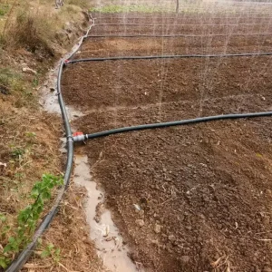 Plastic Micro Spray Tube Thickness PE Water Drip Irrigation Rain Hose for Farm System