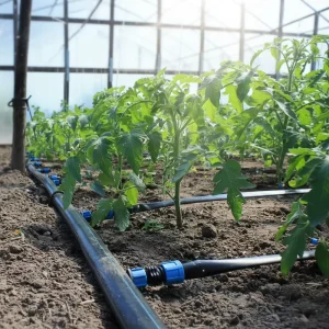 Plastic PE Roll High Quality Customizable Corrosion resistant Flexible 25mm HDPE High Pressure Irrigation Pipe for Farm Garden