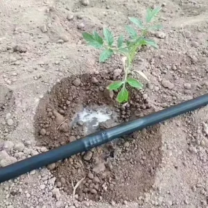 Reliable Quality Drip Irrigation System Pipes 1 Hectare Hose China Price 16mm 22mm for Farms Garden Agriculture