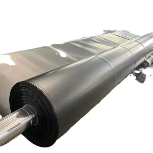 Smooth HDPE Geosynthetics Fish Shrimp Pond Dam Liner Membrane Modern Durable Outdoor Fish Farm Use Made LLDPE PVC EVA LDPE