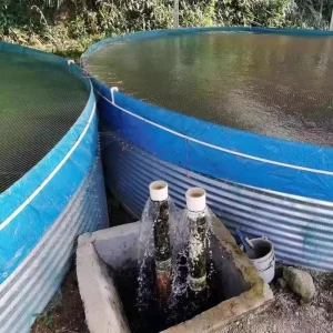 Water Tank Fish Pond plastic Pond for Fish Tank fish Growing Container tank Fish Pond