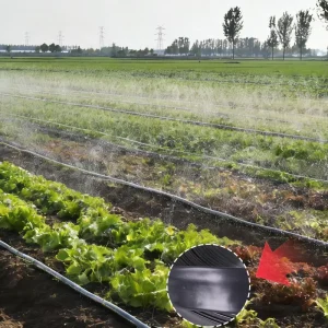 Wide Coverage 2 Diameter PE Layflat Irrigation Hose High-Efficiency UV Stabilized Plastic for Large-Area Agricultural Home Use