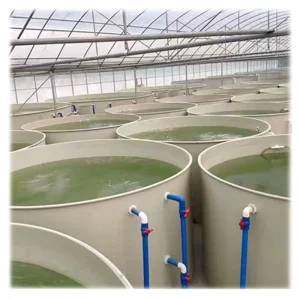 ZSPE Blue Food Grade PP 1mm Thick Plastic Sheets Aquaculture Equipment for Fish Farming Fish Tank Use